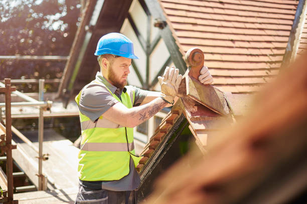 Roof Gutter Cleaning in Dayton, KY